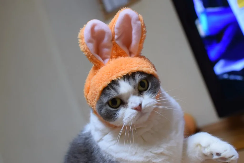 臨時休業のお知らせ