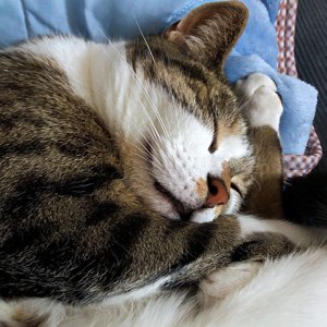 店舗お休みについて